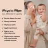 imageThe Honest Company 100 Pure Organic Cotton Dry Wipes  MultiUse Disposable Facial Cloth and Baby Wipe  Hypoallergenic and Gentle on Skin  192 Count48 Count Pack of 1