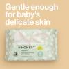 imageThe Honest Company 100 Pure Organic Cotton Dry Wipes  MultiUse Disposable Facial Cloth and Baby Wipe  Hypoallergenic and Gentle on Skin  192 Count48 Count Pack of 1