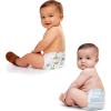 imageThe Honest Company Clean Conscious Diapers  PlantBased Sustainable  Turtle Time  Dots ampamp Dashes  Super Club Box Size 2 1218 lbs 152 Count
