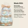 imageThe Honest Company Diaper Cake  Clean Conscious Diapers Baby Personal Care PlantBased Wipes  Turtle Time  Regular Size 1 814 lbs 35 CountAbove It All