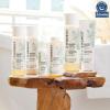 imageThe Honest Company Fragrance Free Conditioning Hair Detangler  Leavein Conditioner  Fortifying Spray  Tearfree  Hypoallergenic for Sensitive Skin  4 fl ozFragrance Free Sensitive