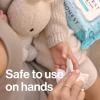 imageThe Honest Company Fragrance Free Sanitizing Alcohol Wipes  Antibacterial  Safe for Hands  Kills 99 of Germs Made With Aloe  50 Count 1 Pack50 Count Pack of 1