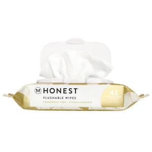 imageThe Honest Company Flushable Wipes for Sensitive Skin  Fragrance Free Hypoallergenic 99 Water Safe to Flush  pH Balanced Feminine Wipes  Tropical Leaves 42 CountGilded Wings