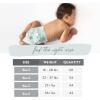 imageThe Honest Company Clean Conscious Overnight Diapers  PlantBased Sustainable  Starry Night  Club Box Size 5 27 lbs 44 CountSize 5 44 Count