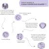 imageThe Honest Company Clean Conscious Overnight Diapers for Sensitive Skin  Hypoallergenic Fragrance Free  Cozy Cloud  Star Signs  Club Box Size 6 35 lbs 34 CountSize 6