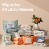 imageThe Honest Company Clean Conscious MultiUse Baby Wipes for Sensitive Skin Fragrance Free Geo Mood 1152 CountBalance Blues