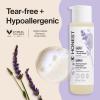 imageThe Honest Company Cleansing 2in1 Shampoo  Body Wash Gentle on Skin Dermatologist Tested Tear Free Hypoallergenic Disney and Pixars Toy Story Orange CreamsicleLavender
